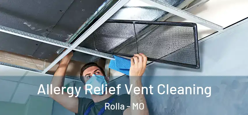 Allergy Relief Vent Cleaning Rolla - MO