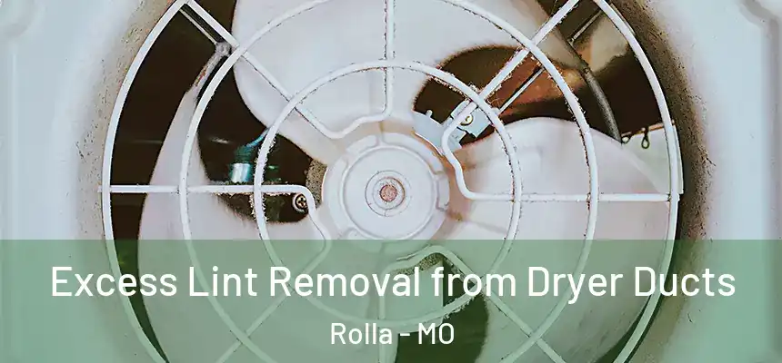 Excess Lint Removal from Dryer Ducts Rolla - MO