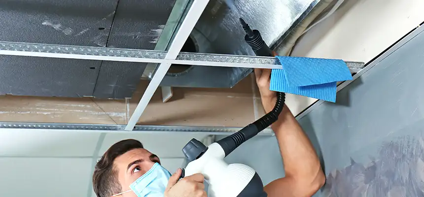 Our Air Duct Rodent Removal Services in Rolla, MO