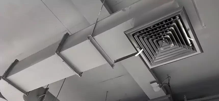 Restorative Allergy Relief Vent Cleaning – Coil, Blower & Housing Detail in Rolla