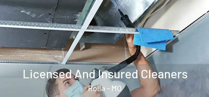 Licensed And Insured Cleaners Rolla - MO