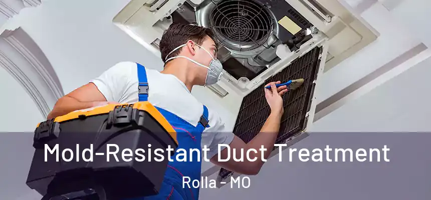  Mold-Resistant Duct Treatment Rolla - MO