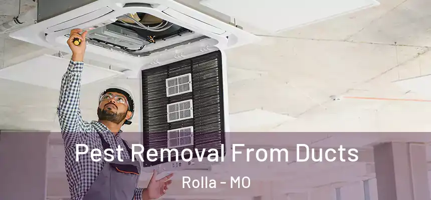 Pest Removal From Ducts Rolla - MO