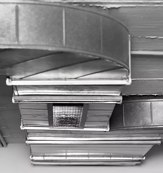 Professional Air Duct Pest Removal in Rolla, MO