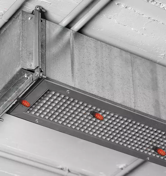 Affordable Insect Removal from Air Ducts in Rolla, MO