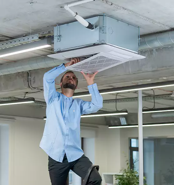 Advanced Rodent Droppings In Vents in Rolla, MO