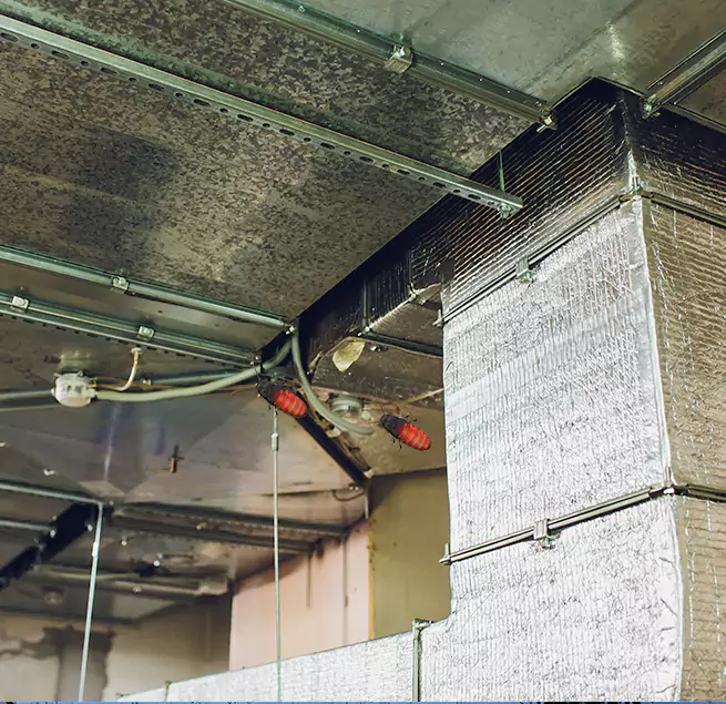 Why Homeowners & Businesses Trust Us in Rolla, MO?