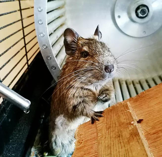 Why Homeowners & Businesses Trust Us Rolla, MO