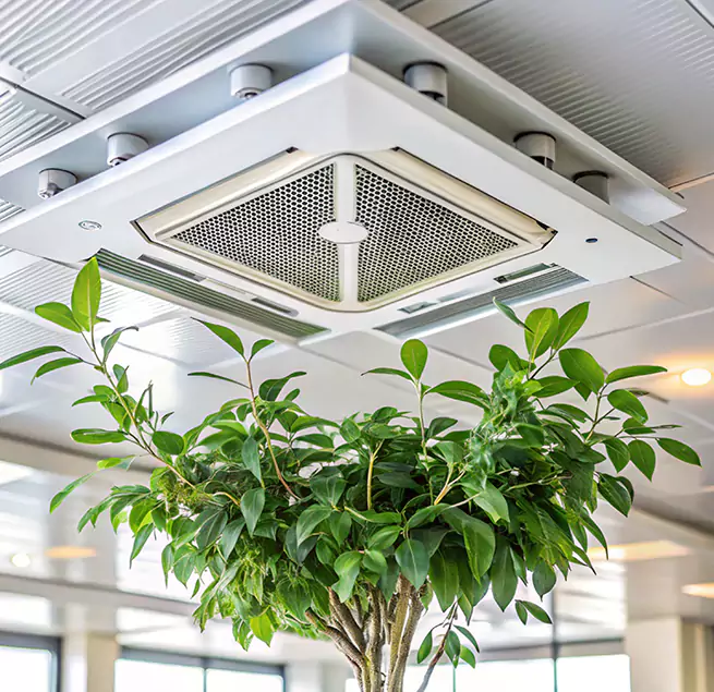 Why Homeowners & Businesses Trust Us in Rolla, MO